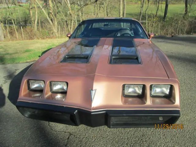 1979 formula bronze ,400 4speed , ws6 package , 3;23 posi ,4 wheel disc