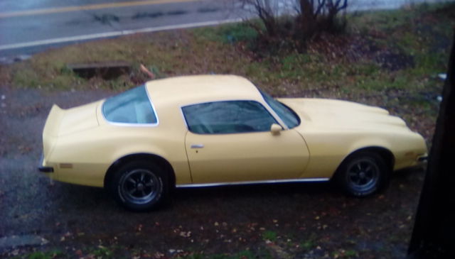 1975 firebird forumla