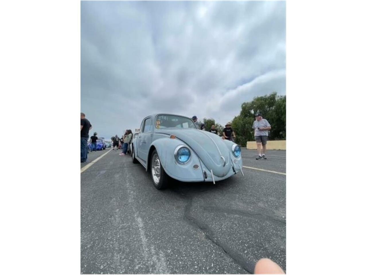 1967 volkswagen beetle
