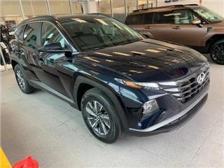 2024 Hyundai Tucson blue