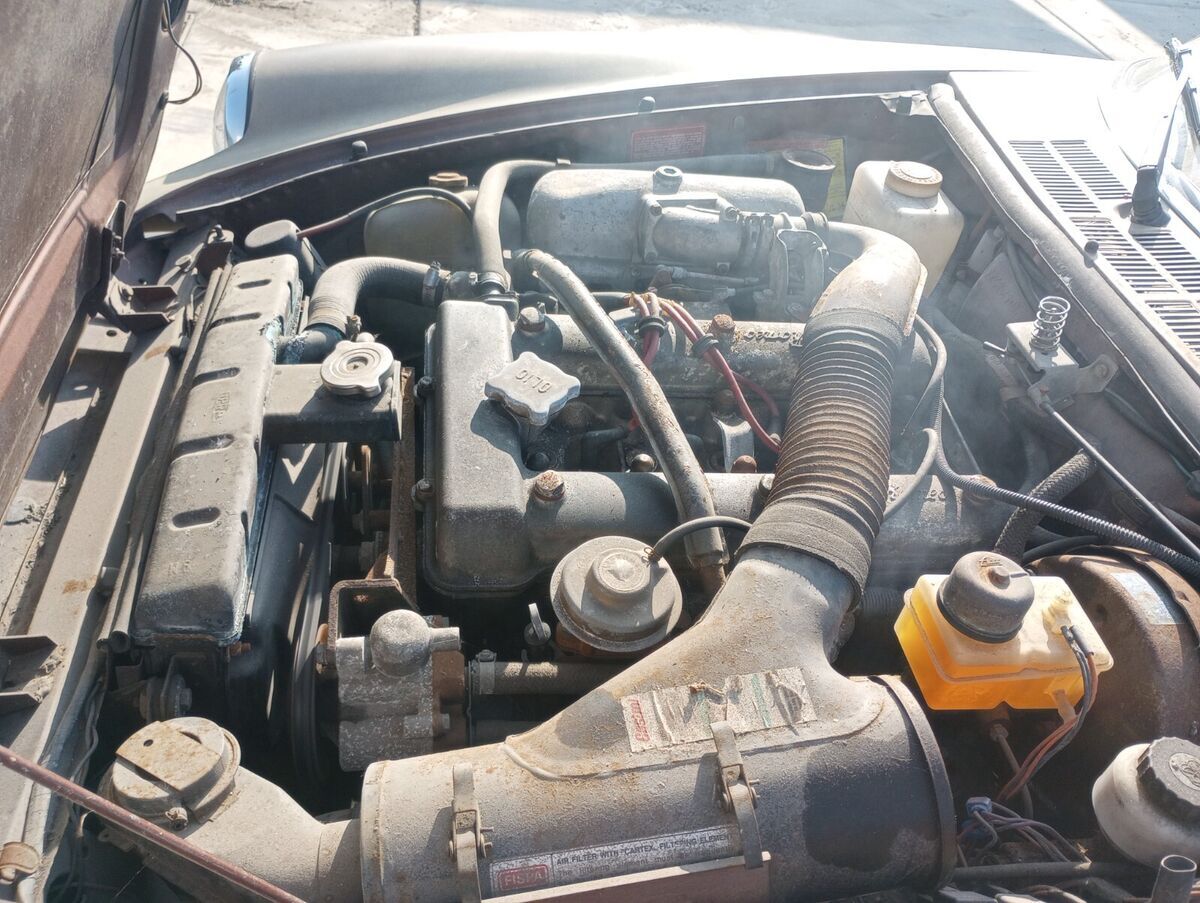 1981 alfa romeo spider veloce 17k original miles