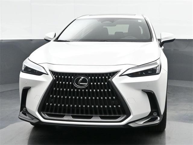 2024 lexus nx 350 premium