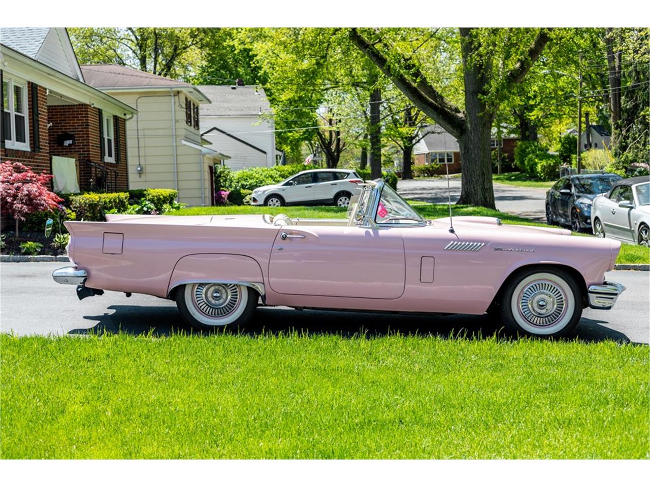 ford ford dusk rose (pink)