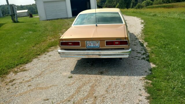 beautiful impala
