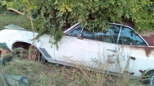 1967 buick skylark limited for sale in texas by owner