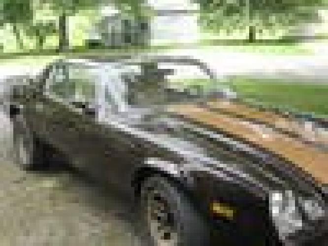 obo 1981 berlinetta in troy, pa