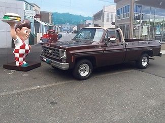 1977 chevy scottsdale fleetside pu. 350 v-8. automatic. beautiful truck