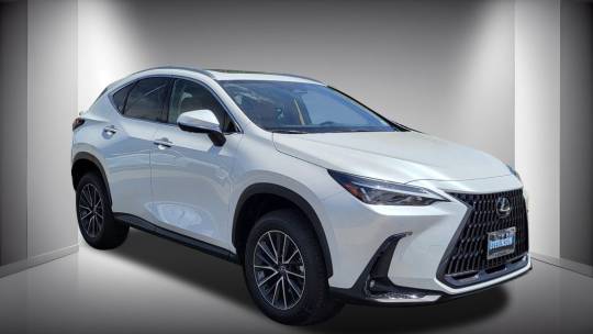 2025 Lexus NX