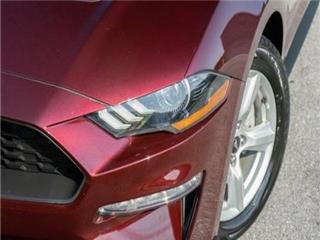 2018 Ford Mustang ecoboost
