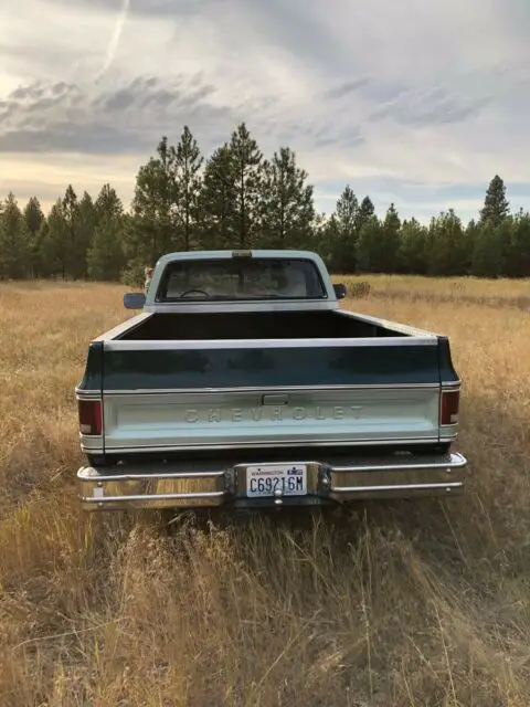 1979 chevrolet c-10 truck