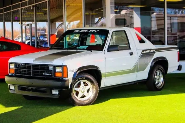 1989 dodge shelby