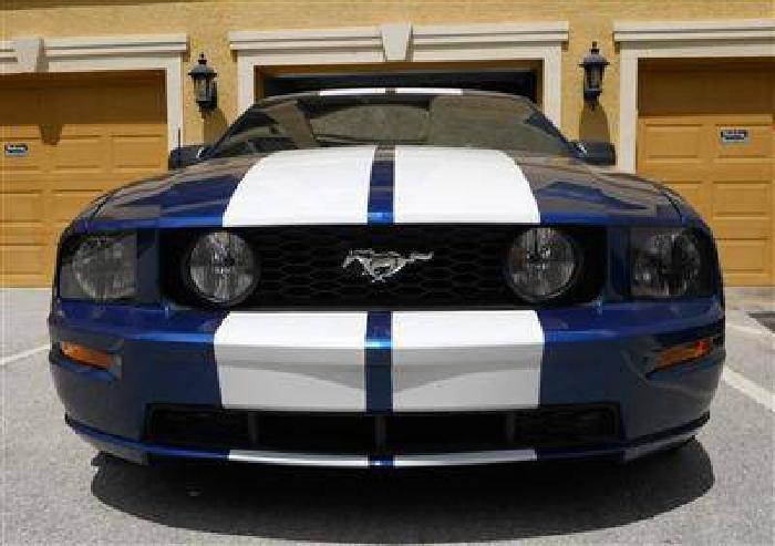 mustang gt premium in new port richey, fl