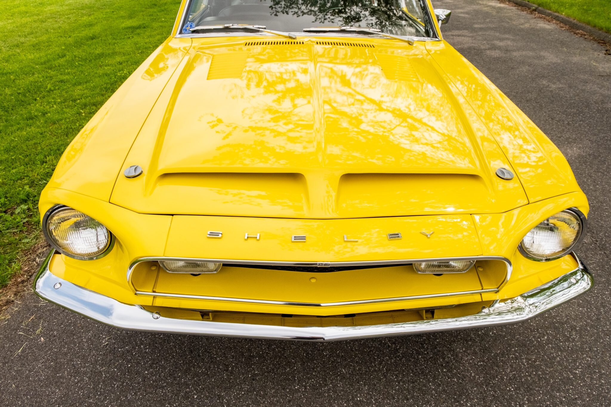 shelby mustang gt500kr