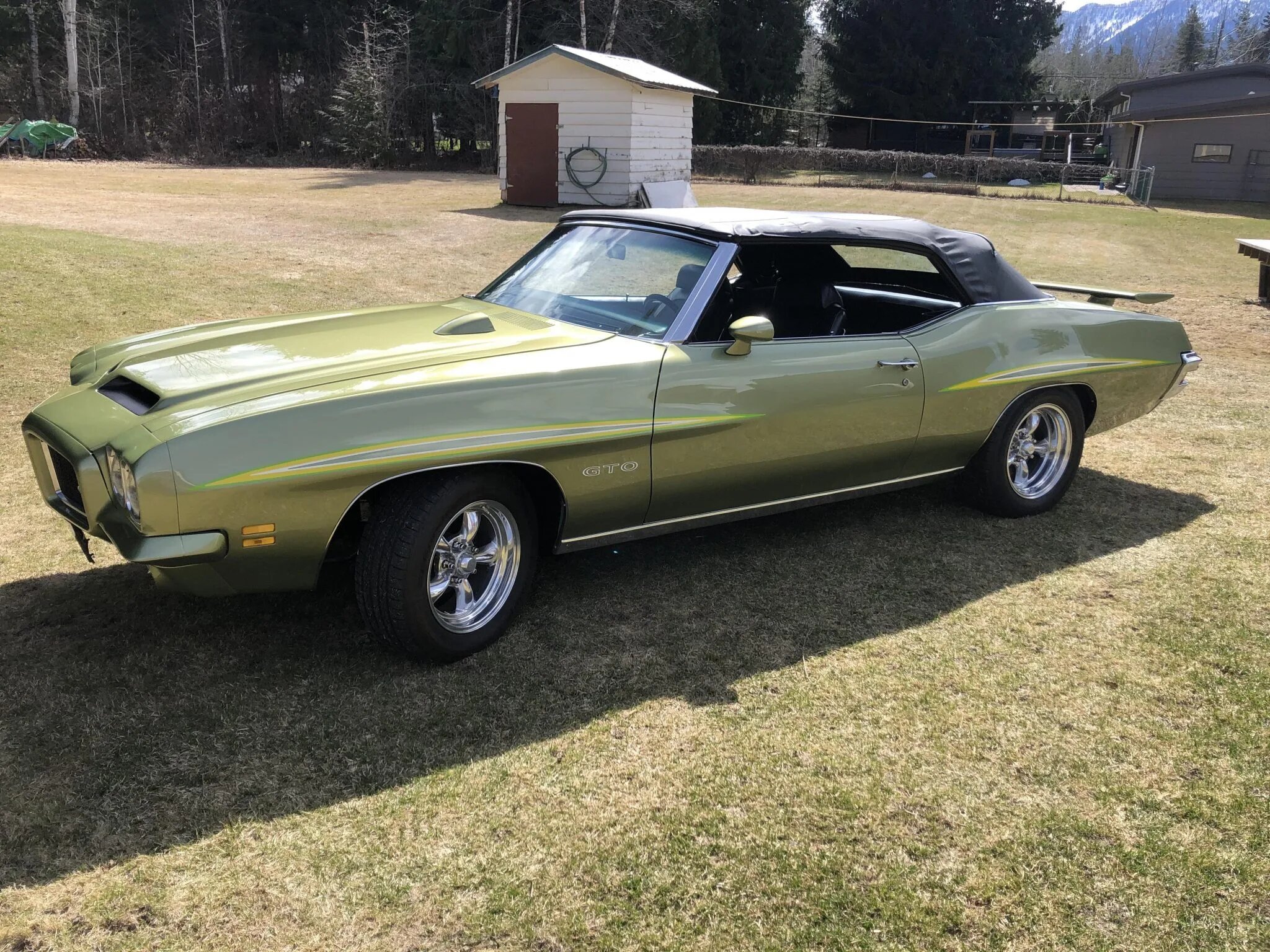 pontiac gto
