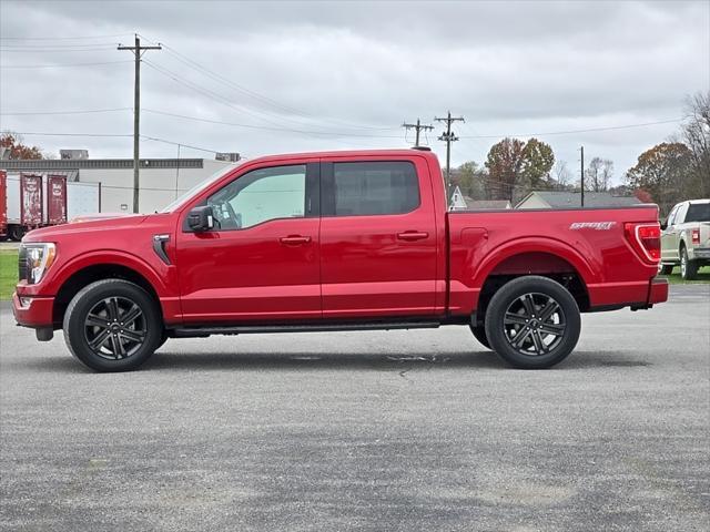 2022 ford f-150 xlt