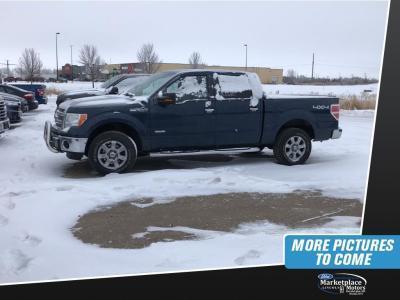 2013 ford f-150 xlt 4x4 xlt 4dr supercrew styleside 5.5 ft. sb for sale in devils lake, north dakota