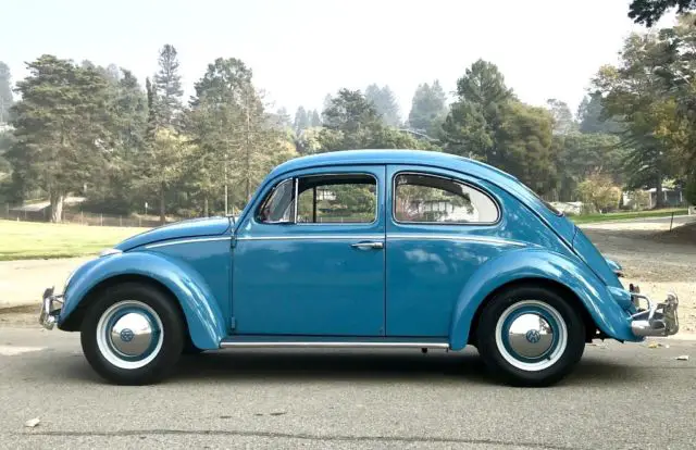 1961 volkswagen beetle survivor, bug used in vw commercial!