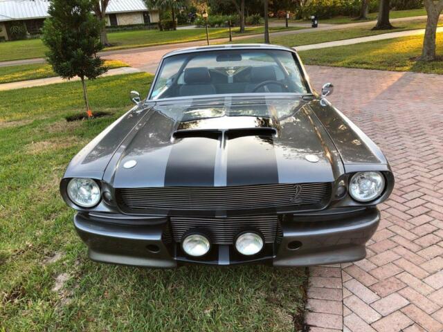 eleanor tribute