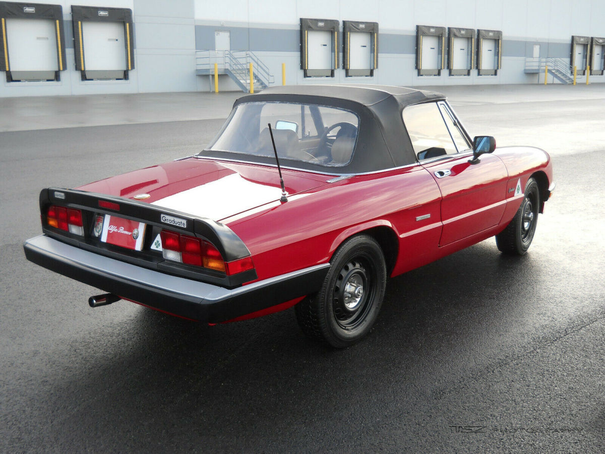 alfa romeo spider graduate series 3.5 rare & desirable edition