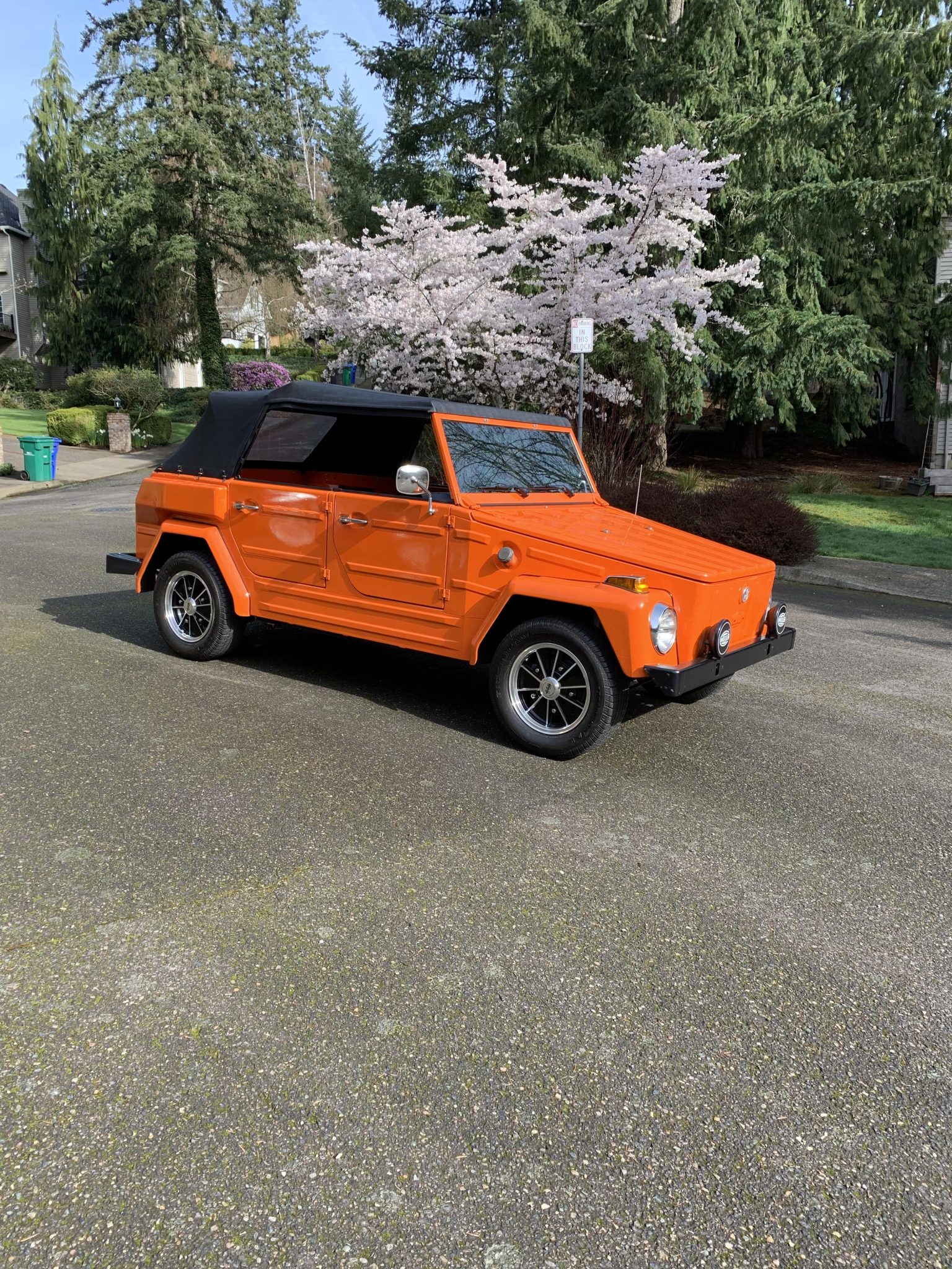 1973 volkswagen thing