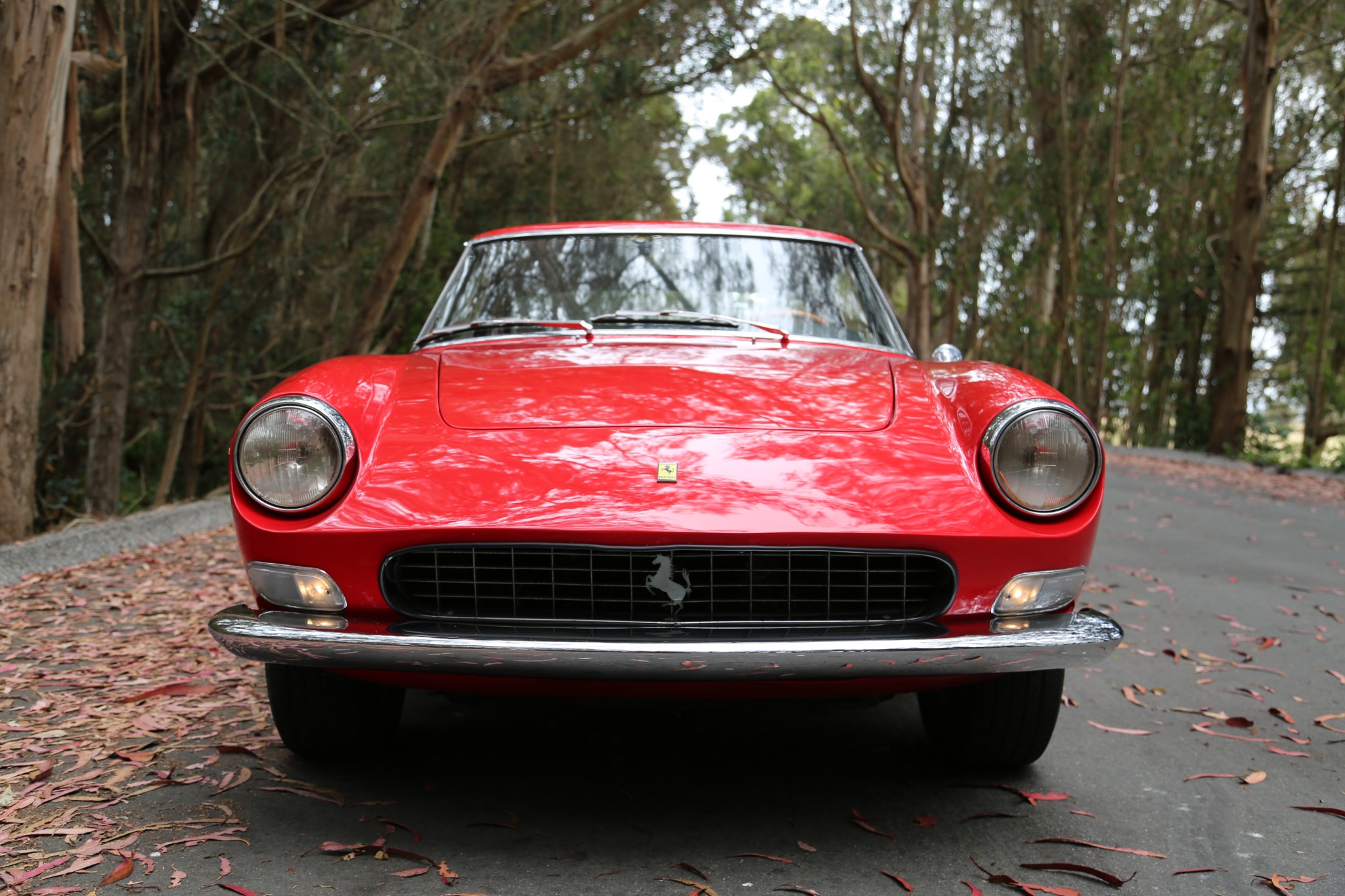 1967 ferrari 330gt 2+2 v8
