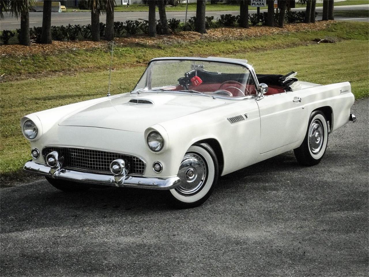 1955 ford thunderbird