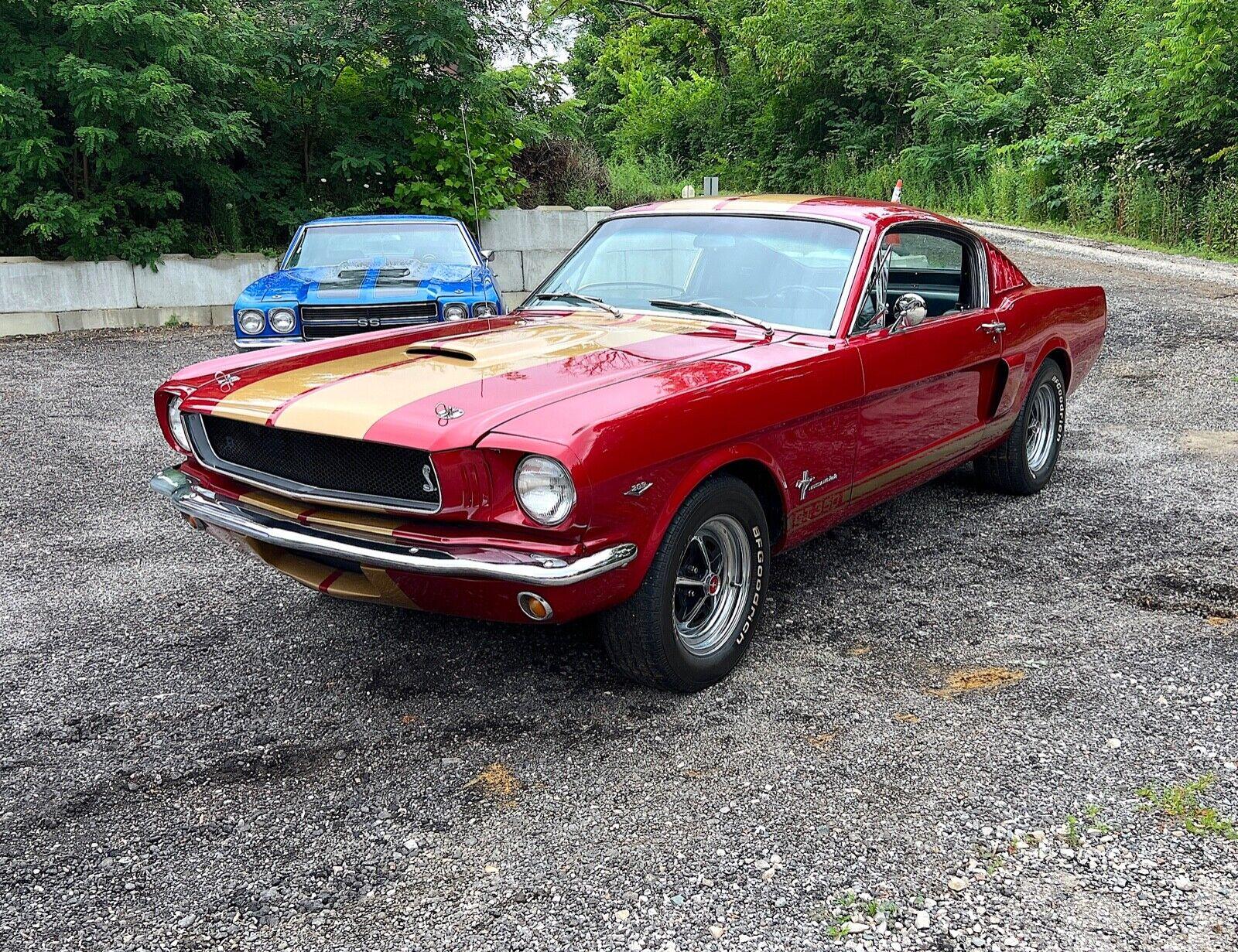 1965 ford mustang fastback gt 350 trim 289 auto