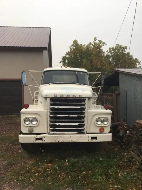 1966 lcf dodge c500