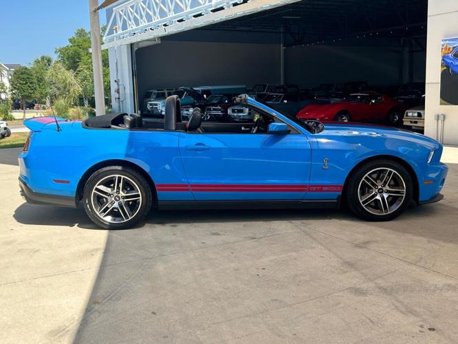 2010 shelby gt500 in palmetto, florida