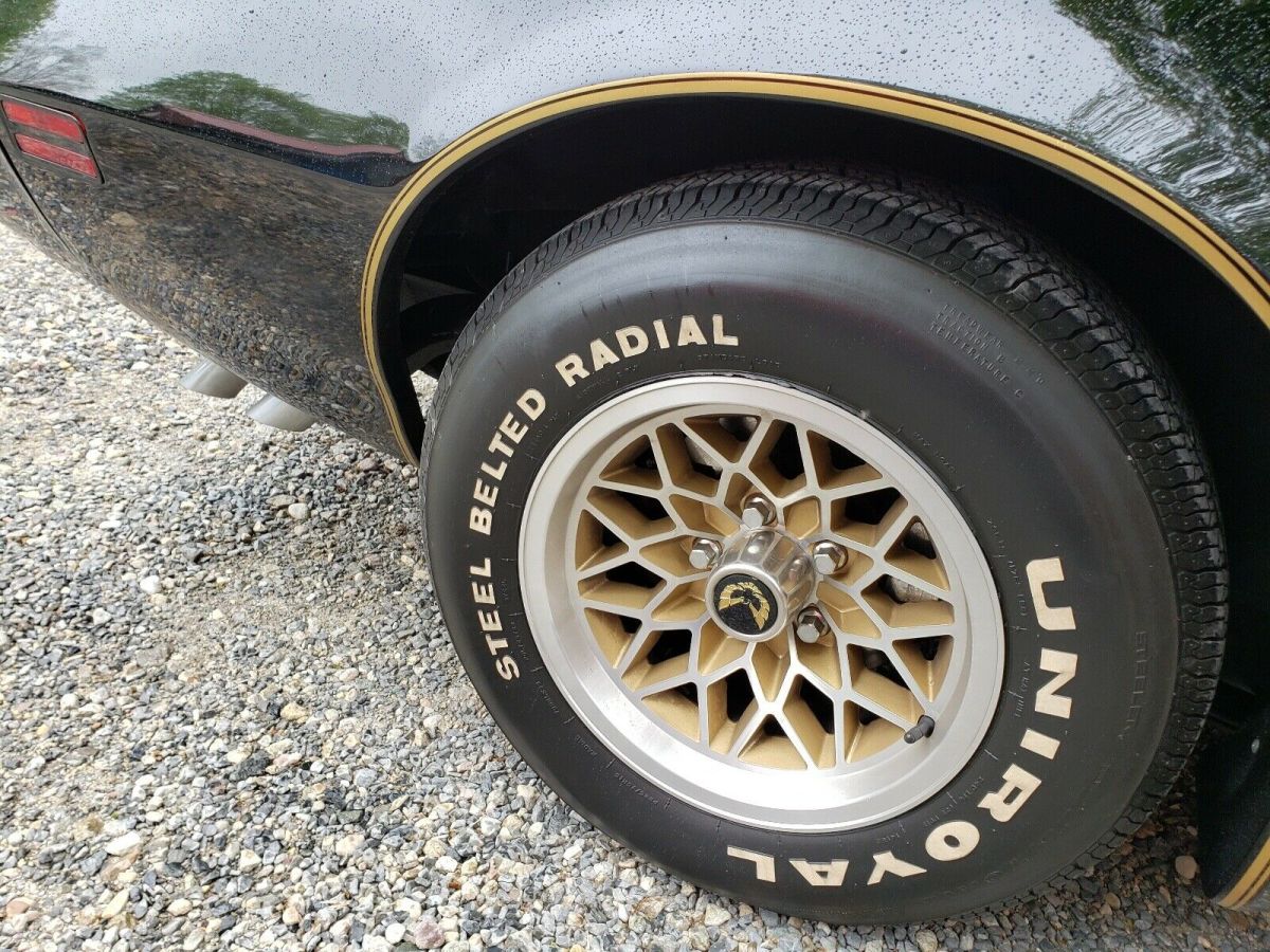 1979 pontiac trans am sportscar black rwd automatic bandit