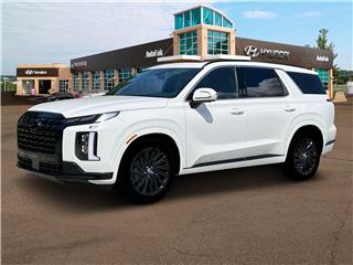 2025 Hyundai Palisade calligraphy night edition