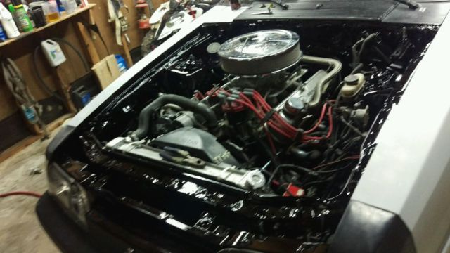 hot rod mustang / pick you color
