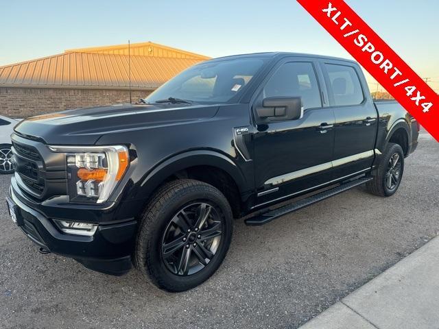 2023 ford f-150 xlt