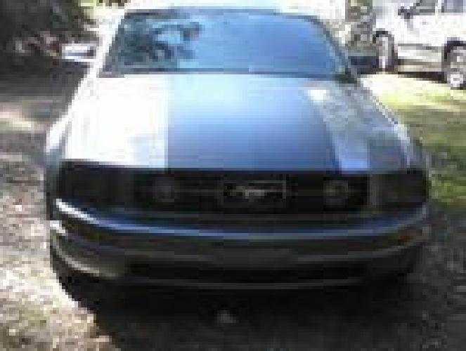2006 mustang in springfield, oh
