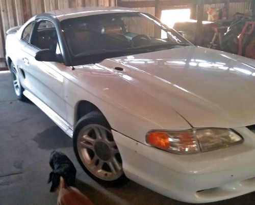 1998 ford mustang gt for sale in california by owner