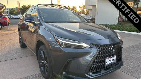 2024 Lexus NX