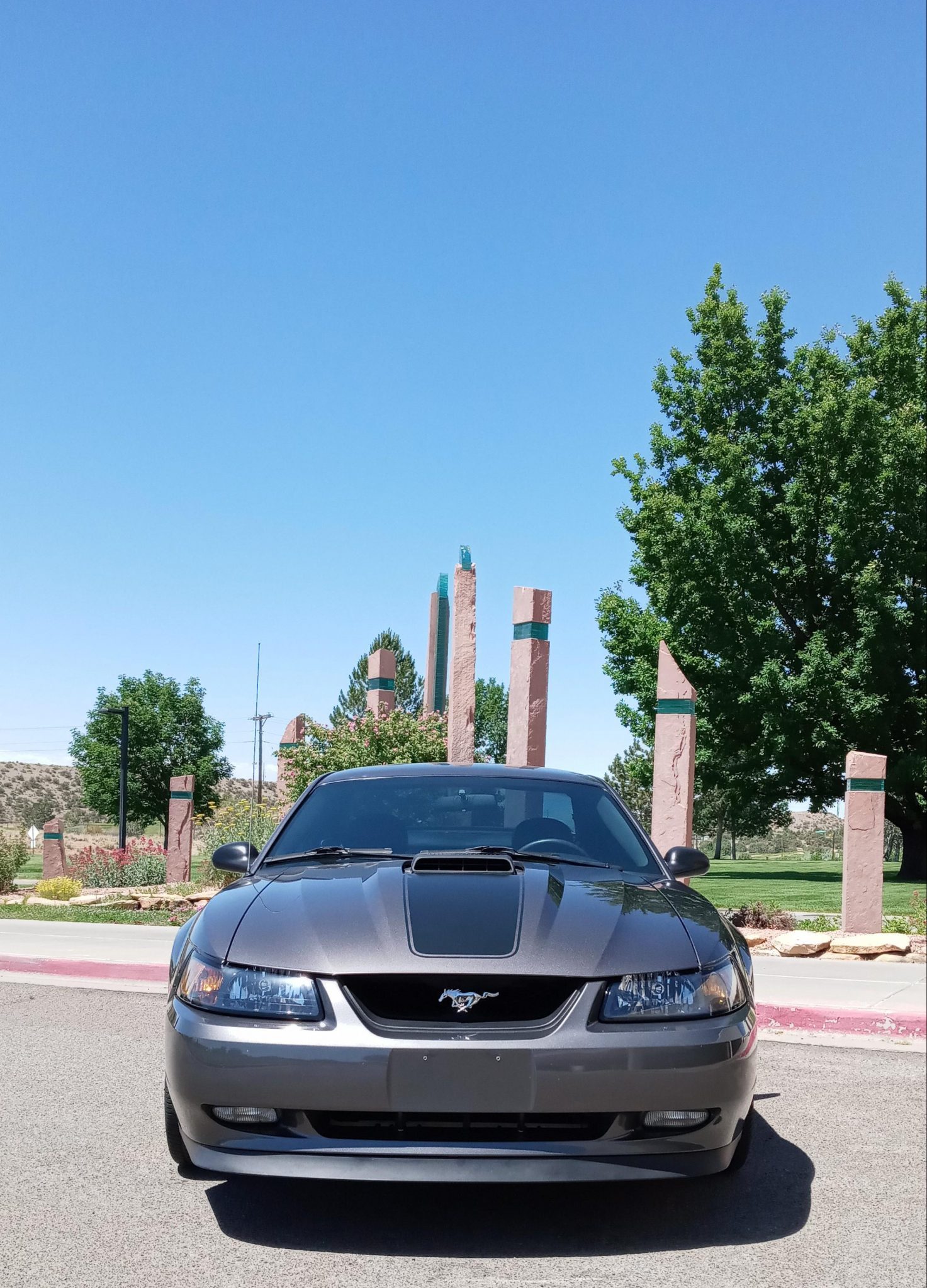 2003 ford mustang mach 1 5-speed