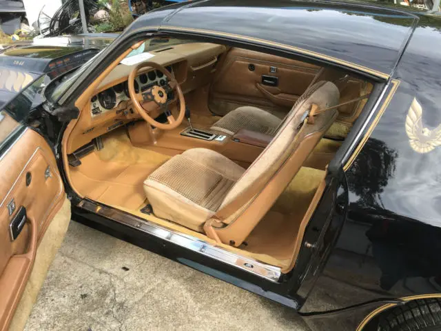 1980 special edition pontiac trans am