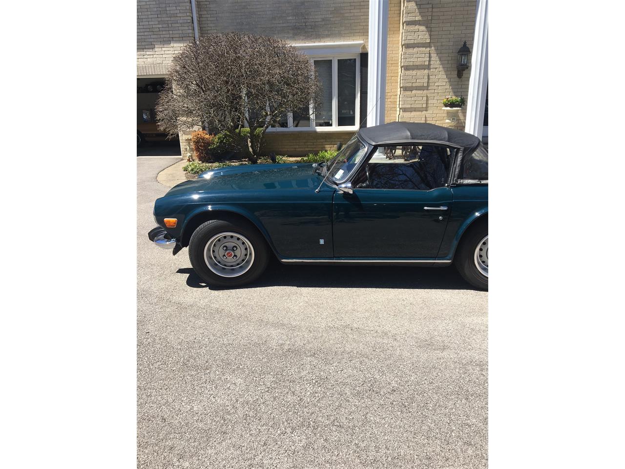triumph tr6
