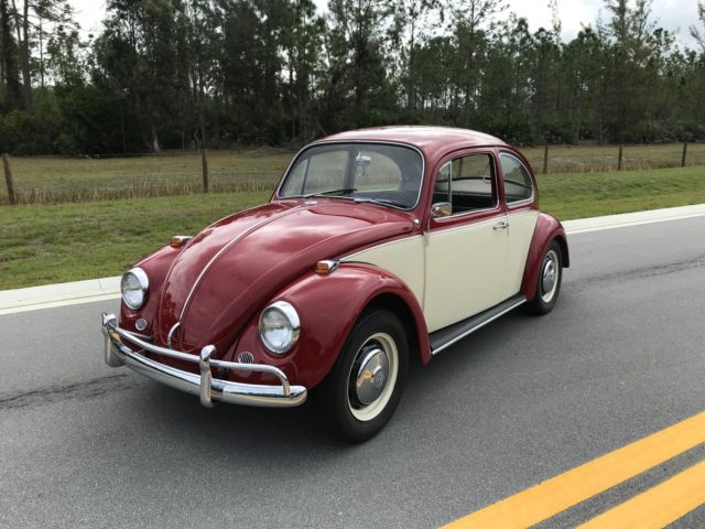 1967 volkswagen beetle- complete restoration