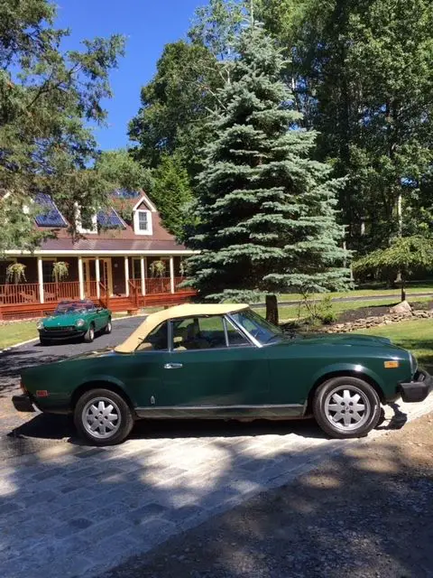 fiat spider convertible in time for spring