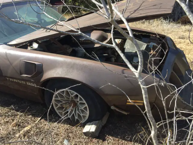79 pontiac transam