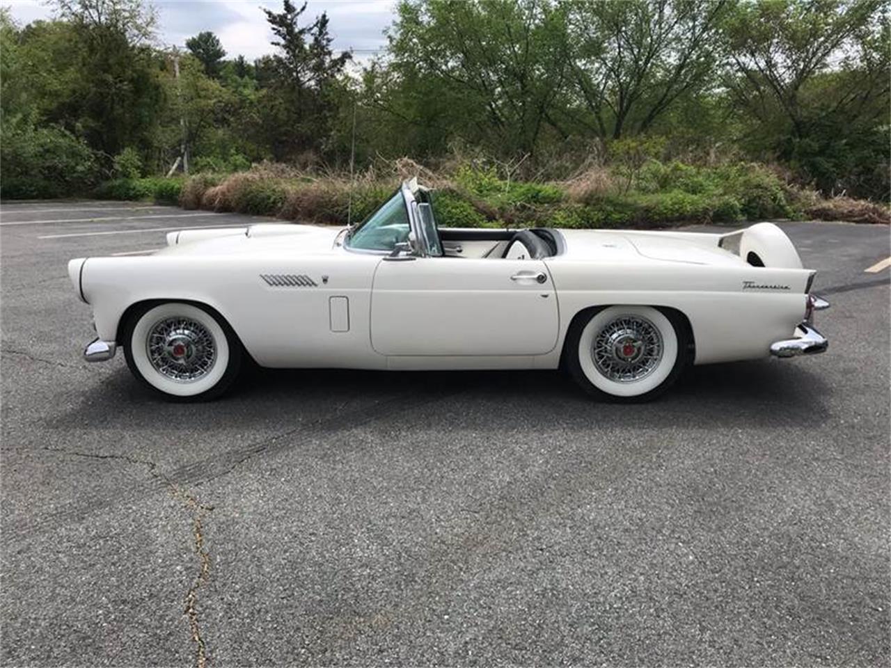 1956 ford thunderbird