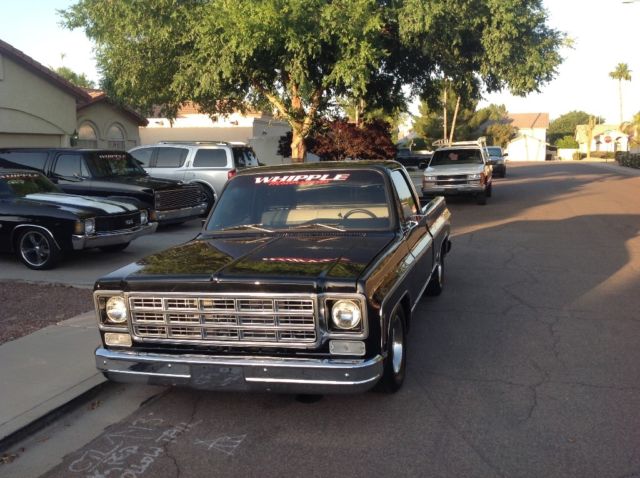 1976 chevy truck custom