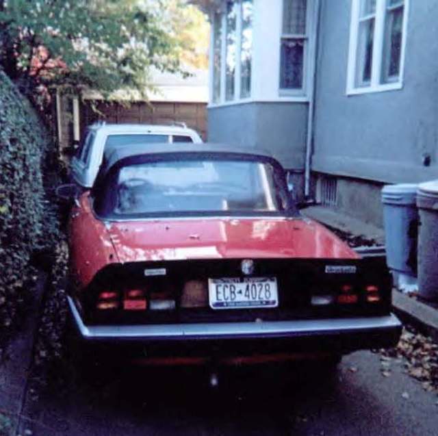 alfa romeo 1985 graduate