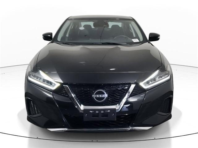 2023 nissan maxima sv