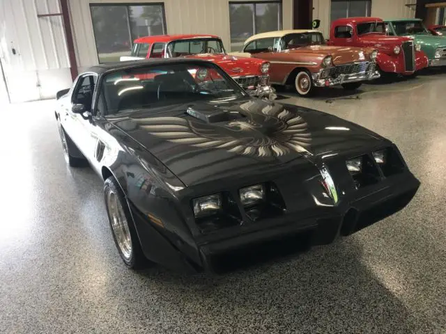1981 pontiac trans am - 6.6l 400 v8 - excellent condition in every aspect