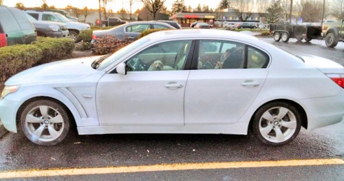 2006 bmw 530 for sale in oregon by owner