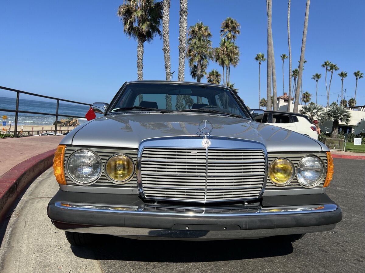 1982 mercedes-benz 300-series grey cdt