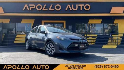 2019 toyota corolla